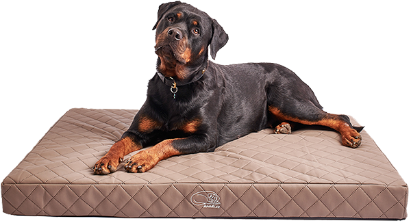 Gretuska bezovy Royal3 web